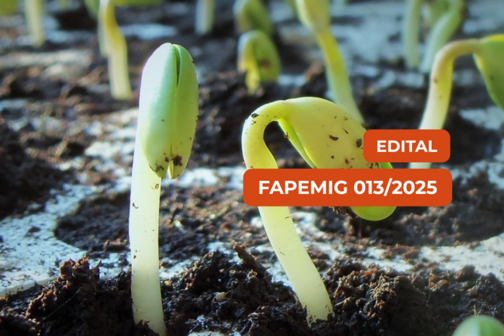 Edital FAPEMIG | Pesquisa Colaborativa Minas Gerais – Paraná