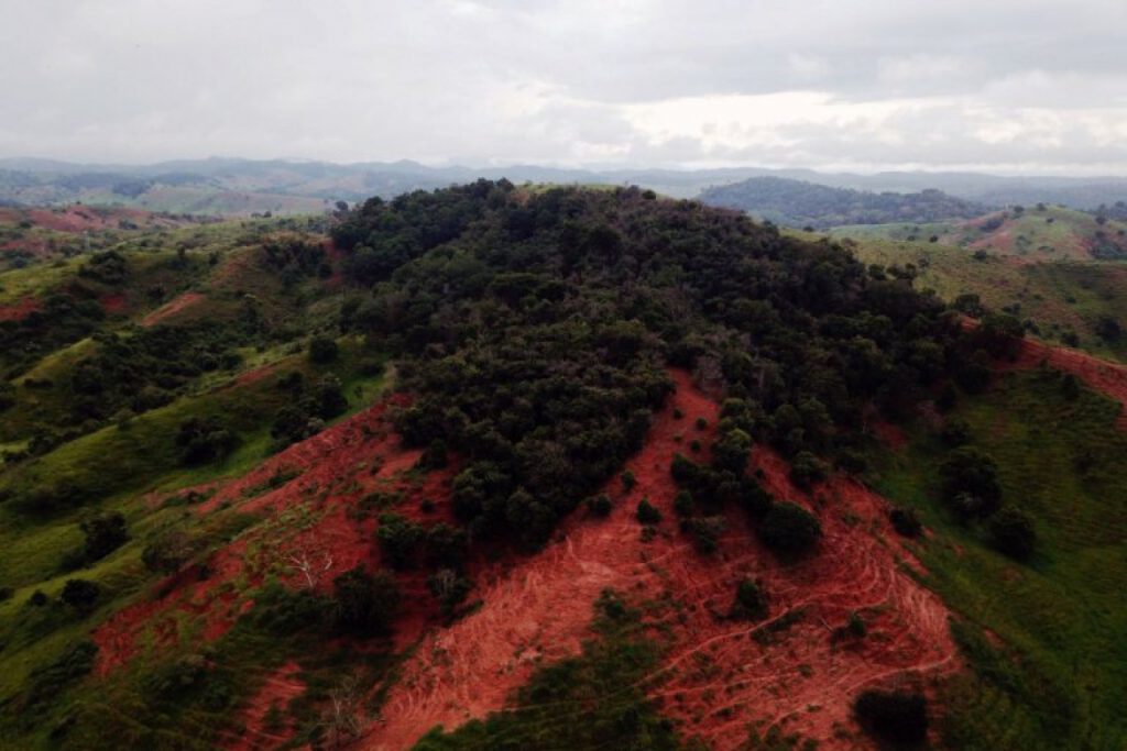Pesquisadores da UFMG e da UFV se juntam à Fundação Renova nas ações de recuperação de APPs